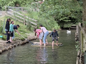 IMG 6715
