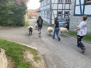 IMG 2492